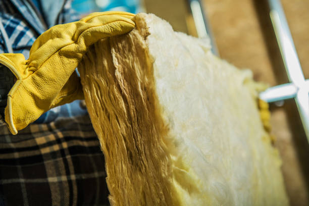 Best Best Insulation Companies  in Manton, MI